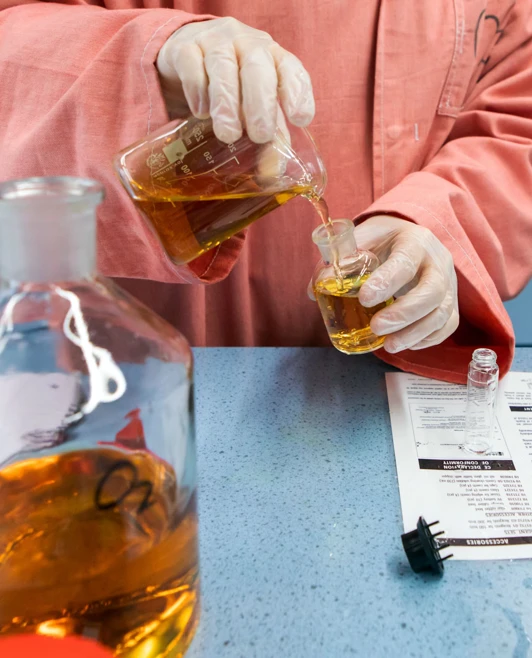 Student in a lab coat pouring golden liquid from one beaker into another on a science workstation. Student in a lab coat pouring golden liquid from one beaker into another on a science workstation.